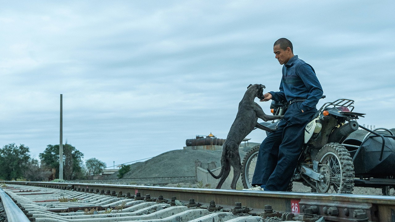 Image du film Black Dog