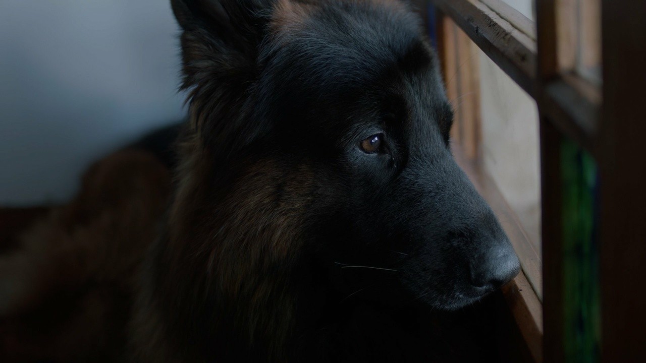 A Film is a Goodbye That Never Ends
