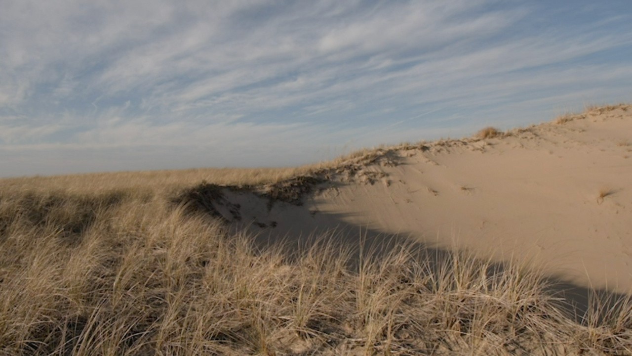 In Order for a Dune to Form