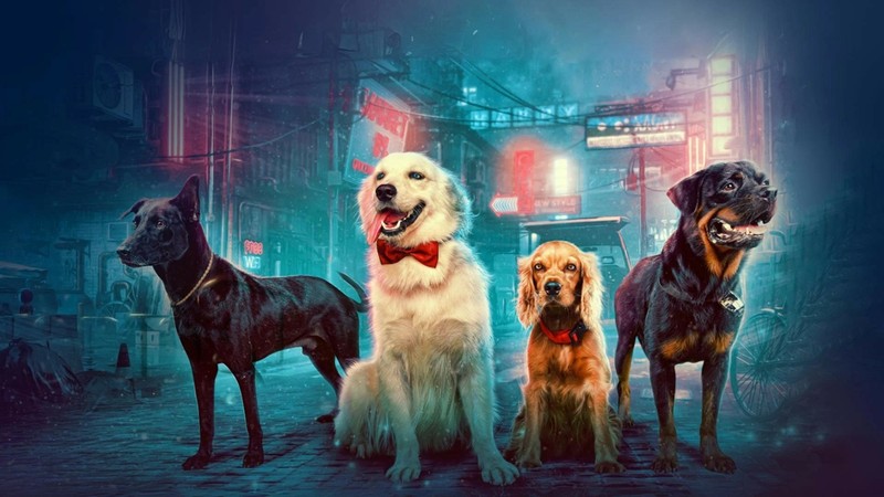 Valatty: Tale of Tails (2024) | MUBI