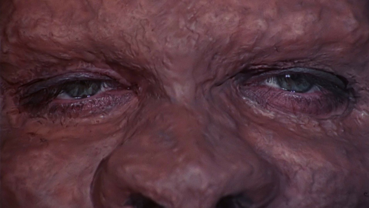 Night of the Bloody Apes