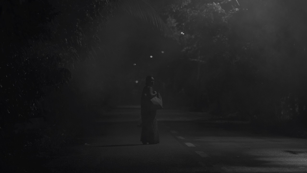 Today's Sunlight Falls Weakly on You