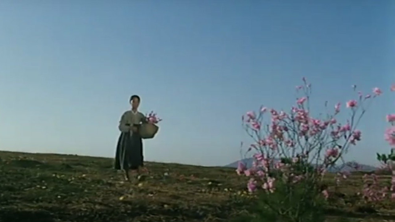The Flower Girl