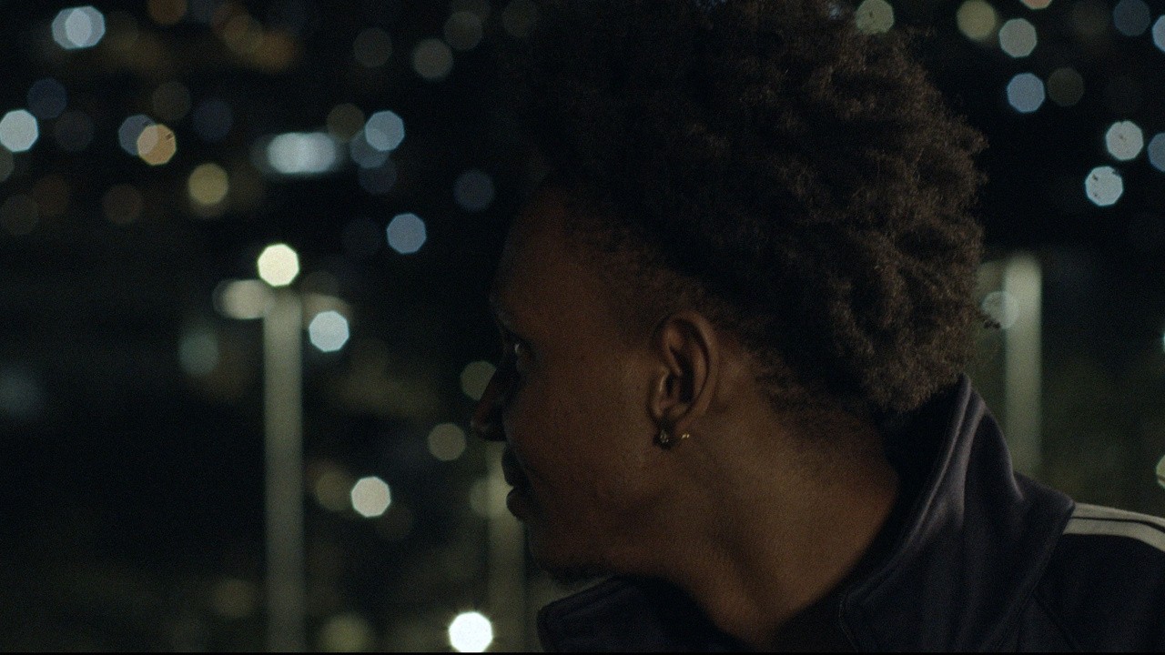 À noite todos os gatos são pardos