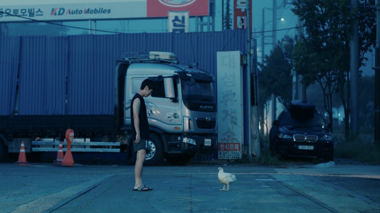 Chicken Man