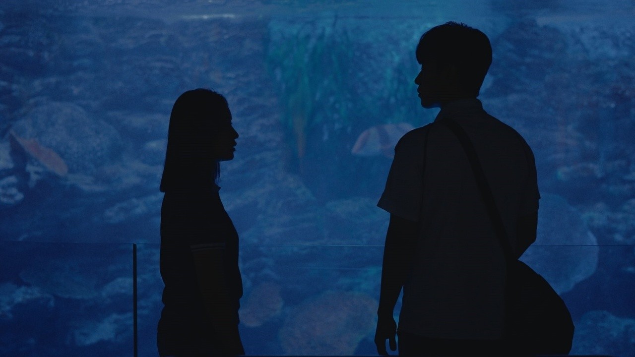 Image du film Boy in the Pool