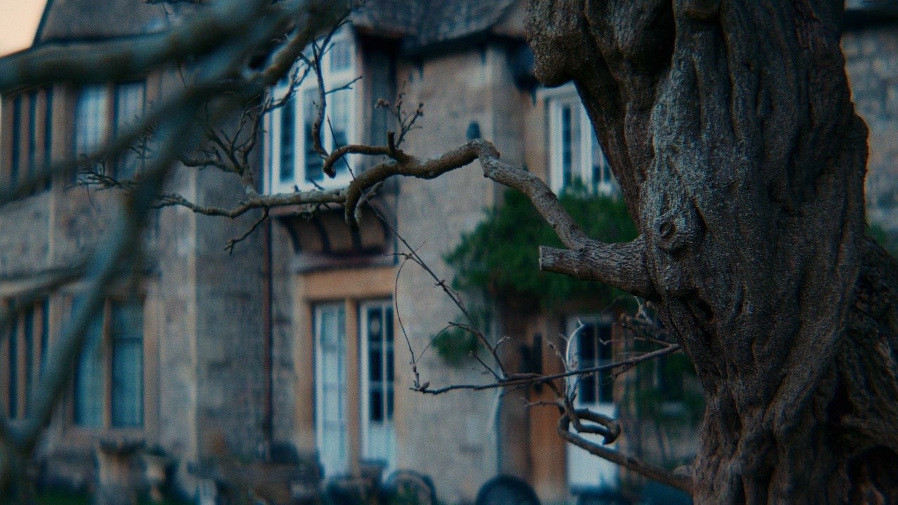 Where Dragons Live