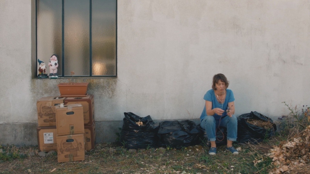 Delphinarium (2023) | MUBI