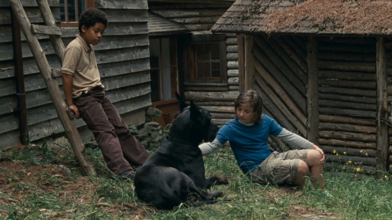 Image du film Allen Sunshine
