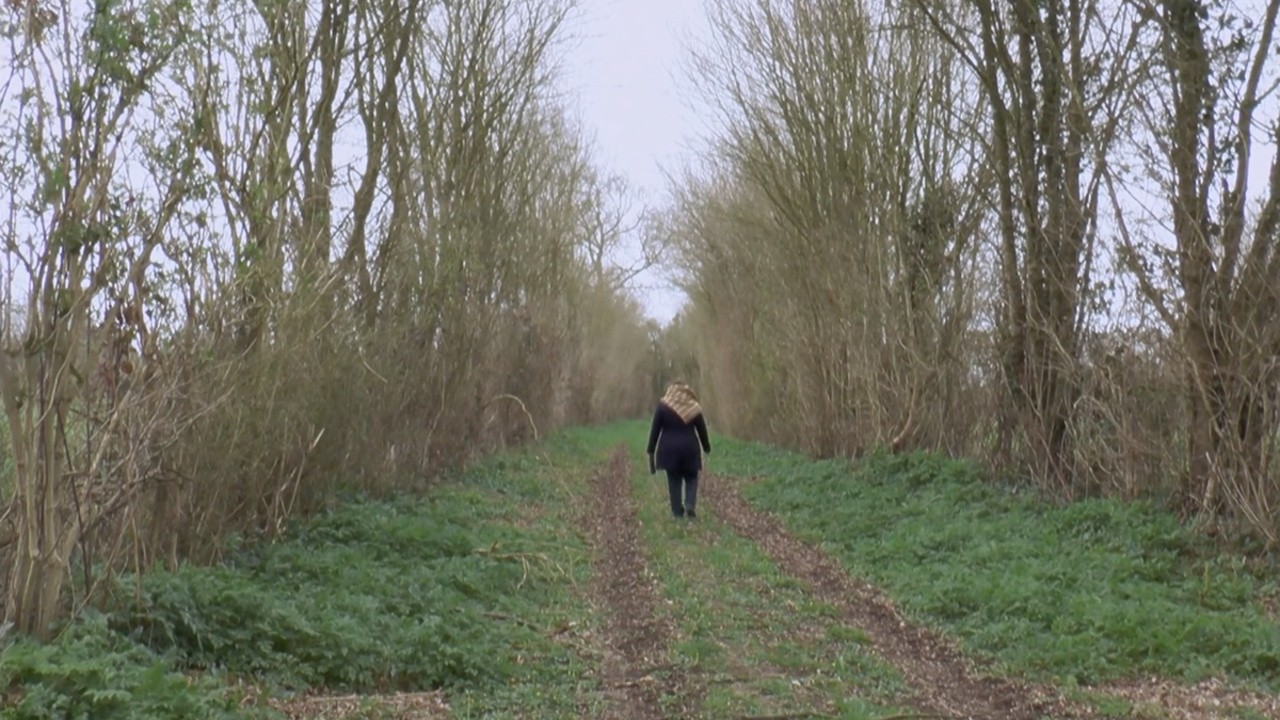 Image du film Le Sentier des absents