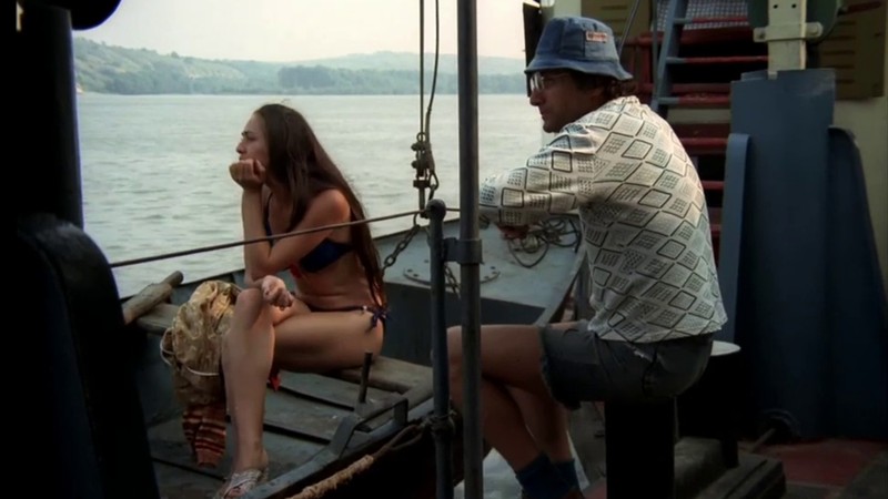 The Cruise