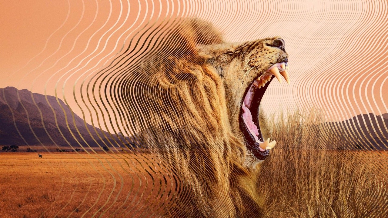 Secret World of Sound with David Attenborough