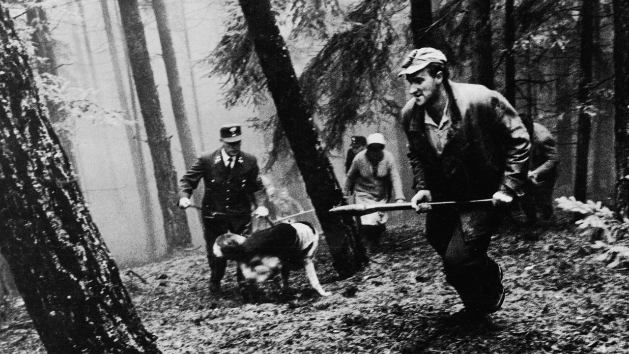 Jagdszenen aus Niederbayern