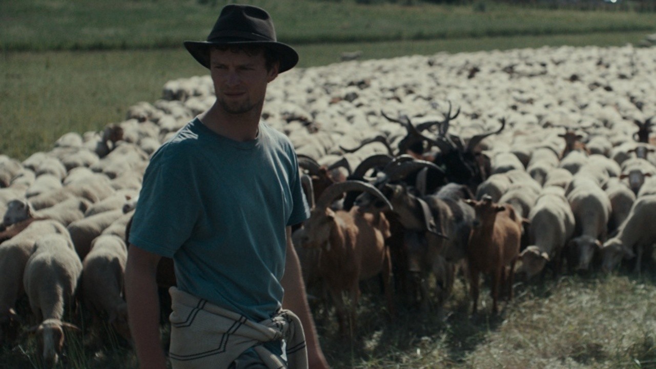 Shepherds (2024) | MUBI