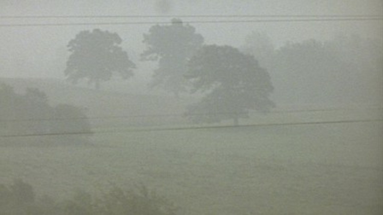 Fog Line