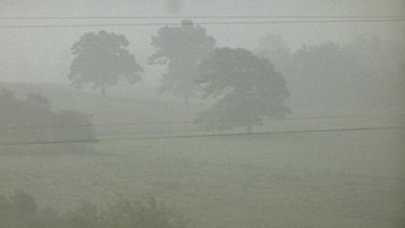 Fog Line