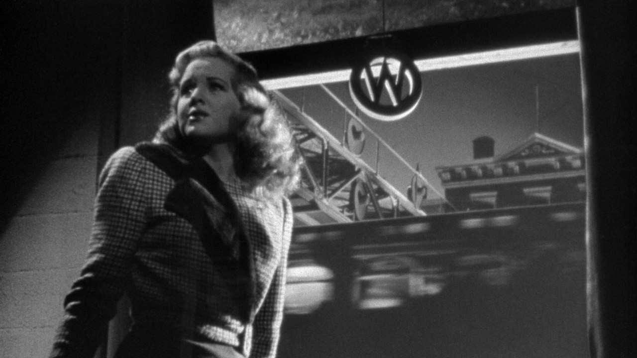 Lady on a Train