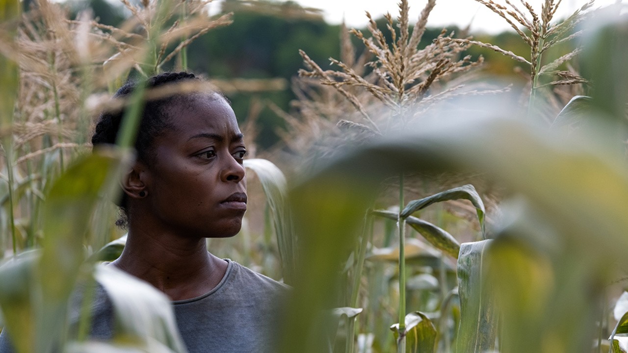 Image du film 40 Acres
