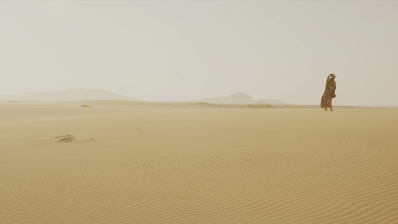 Alma del Desierto