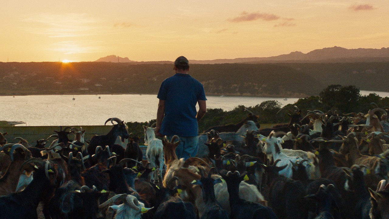 Image du film Le Mohican