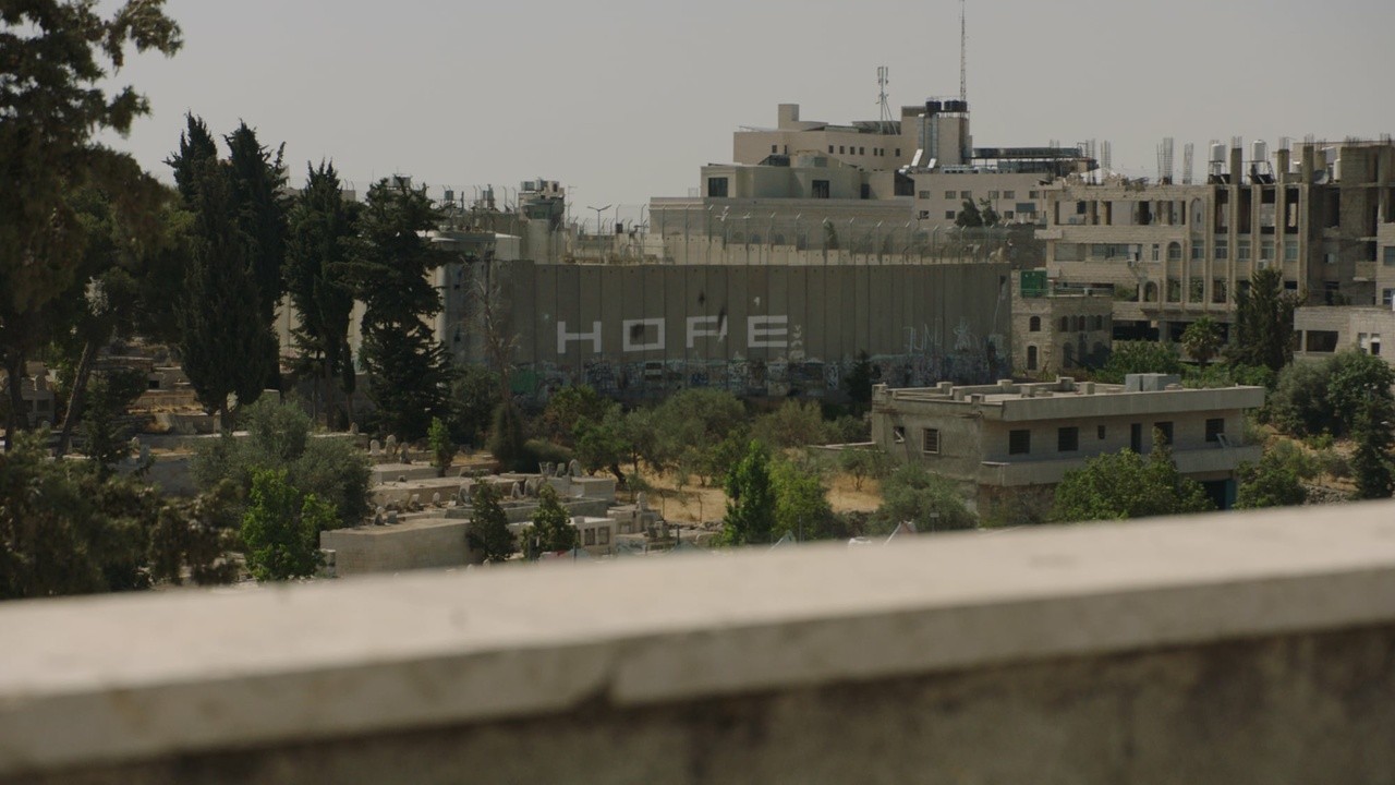 Where Olive Trees Weep