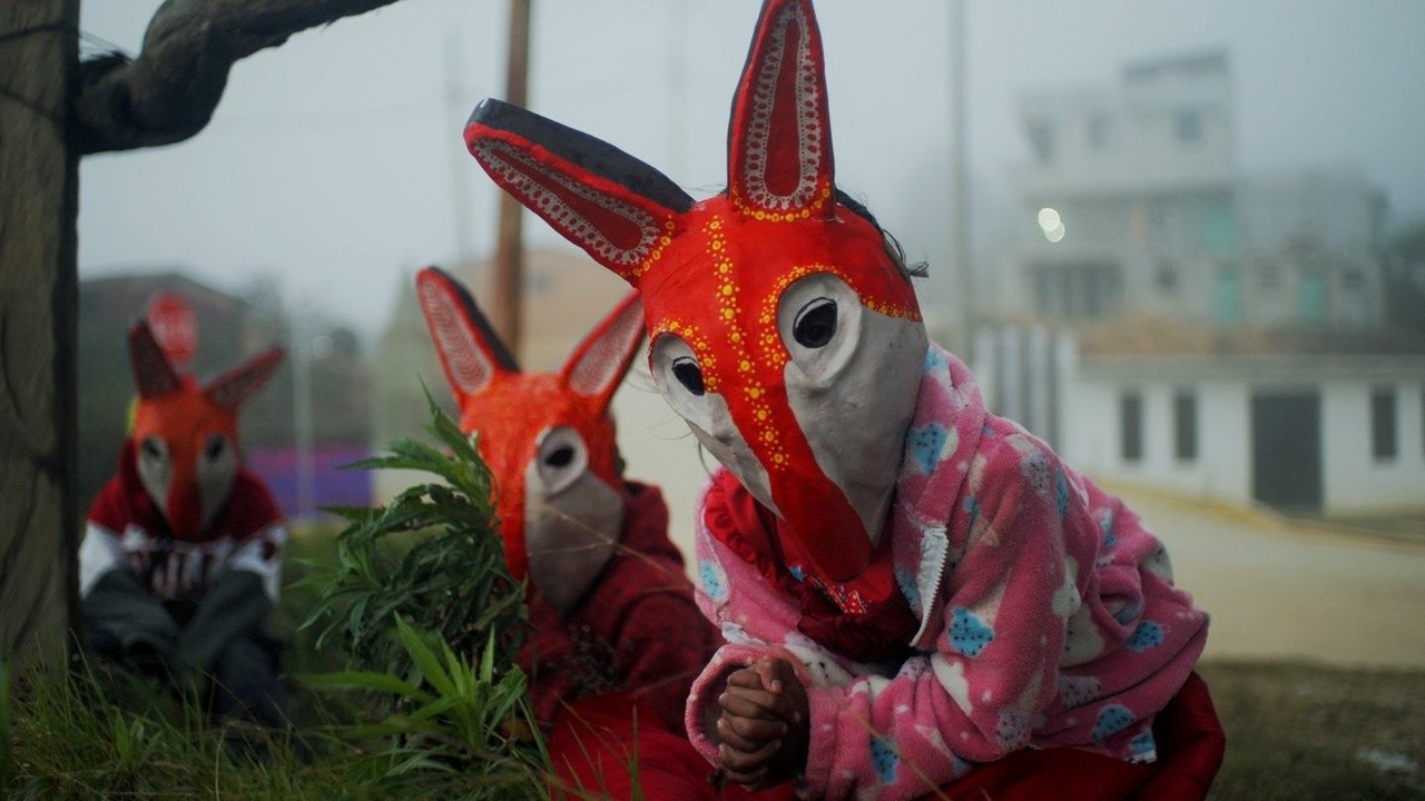 Pequeños Zorros