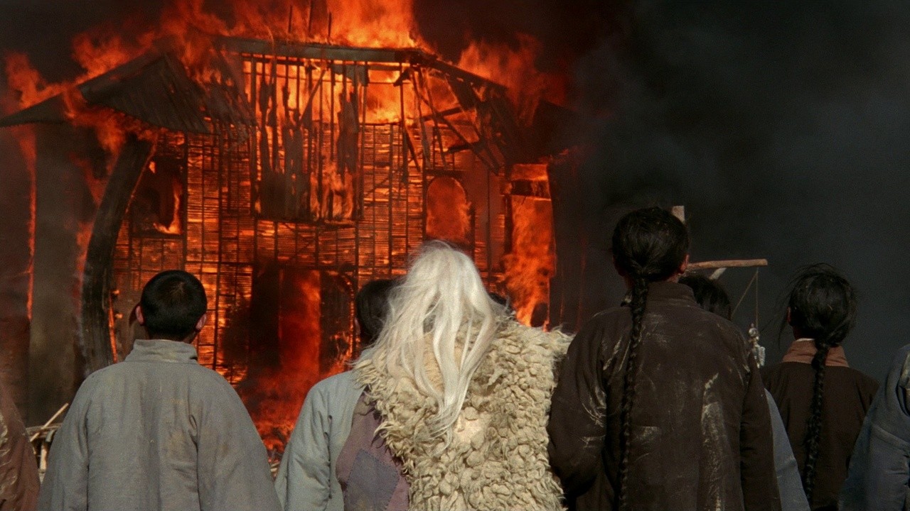 Image du film Le Temple du Lotus Rouge