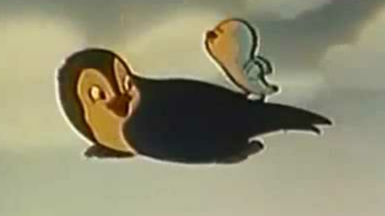 Song of the Birds