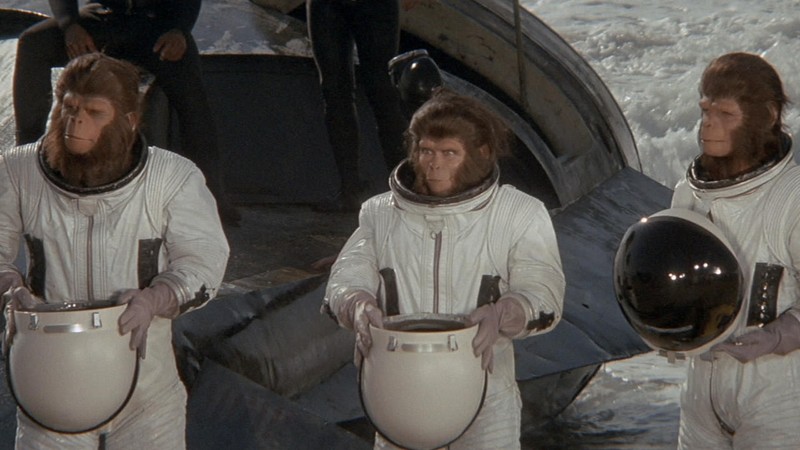 Escape from the Planet of the Apes