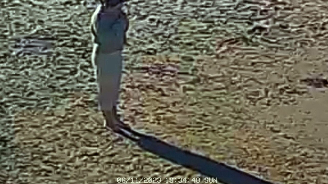 Alguien, en algún lugar, piensa esto