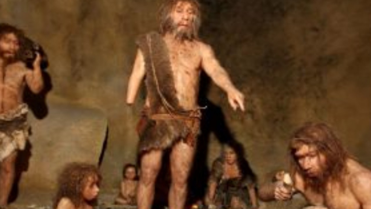 Neanderthal Story