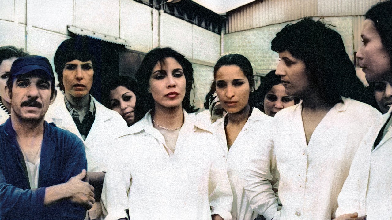 Leila and the Others