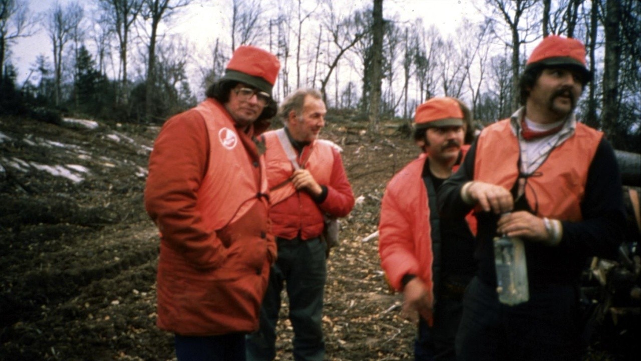 Image du film La Bête lumineuse