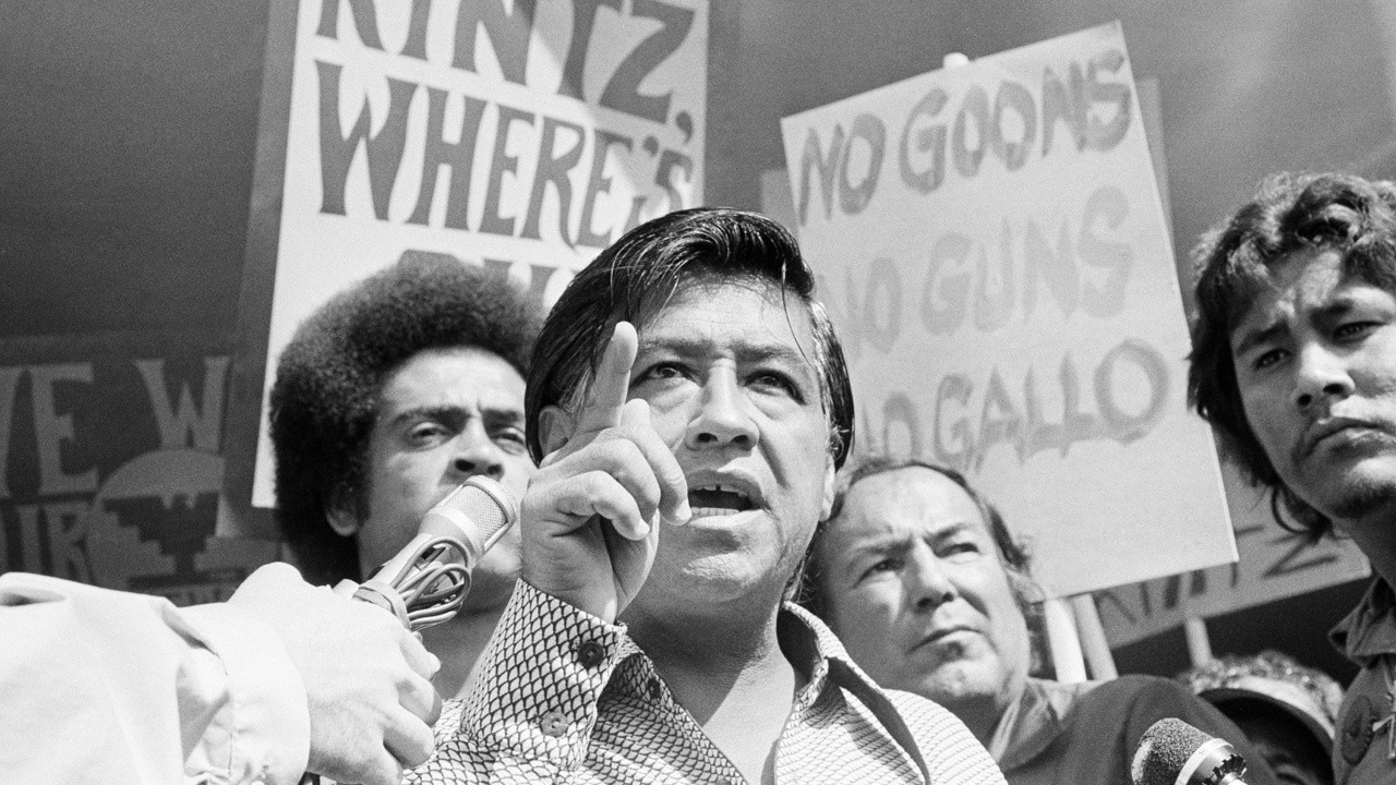 Chicano! History of the Mexican-American Civil Rights Movement (1996 ...