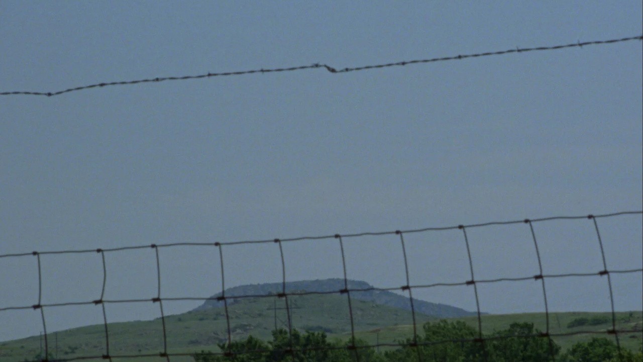 A Fence Is a Fence but the Clouds Move Freely
