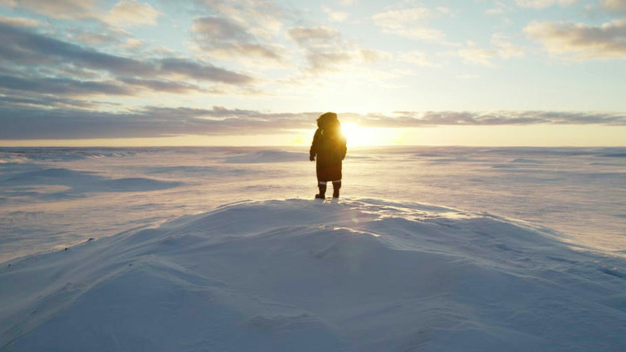 The Past and the Future of the Arctic