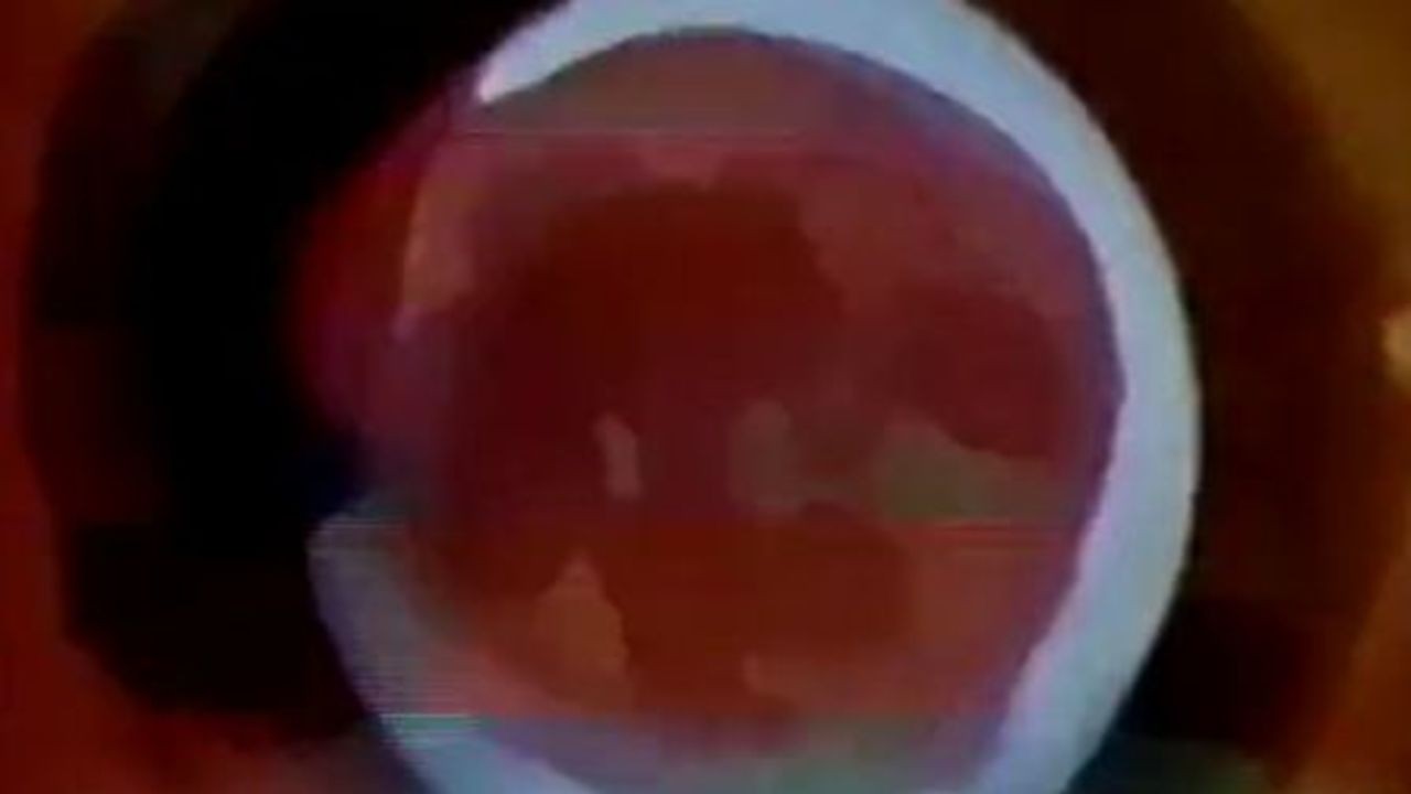 Introduction to Oobieland (I) (1969) | MUBI
