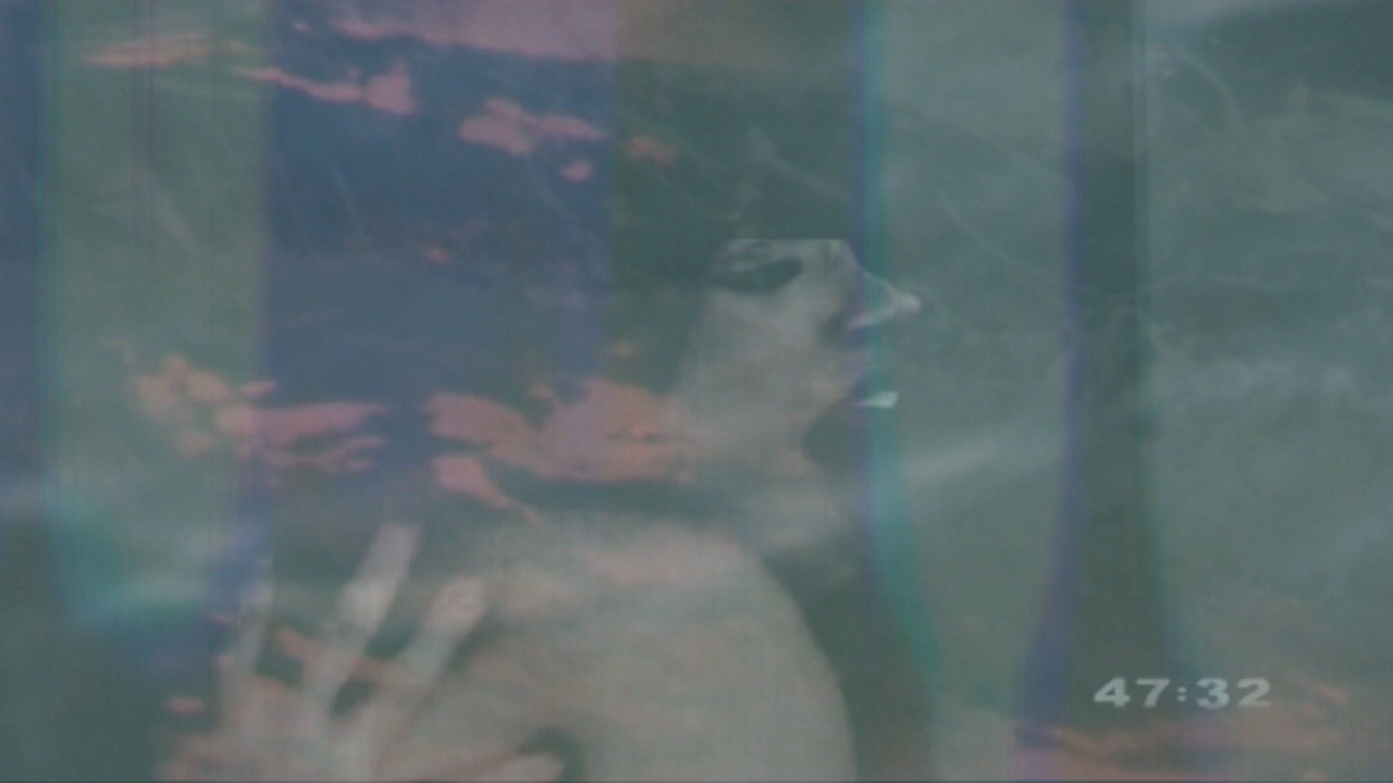 Image du film Voyage autour de la Terre