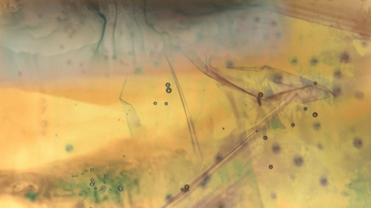 Positive Transparencies