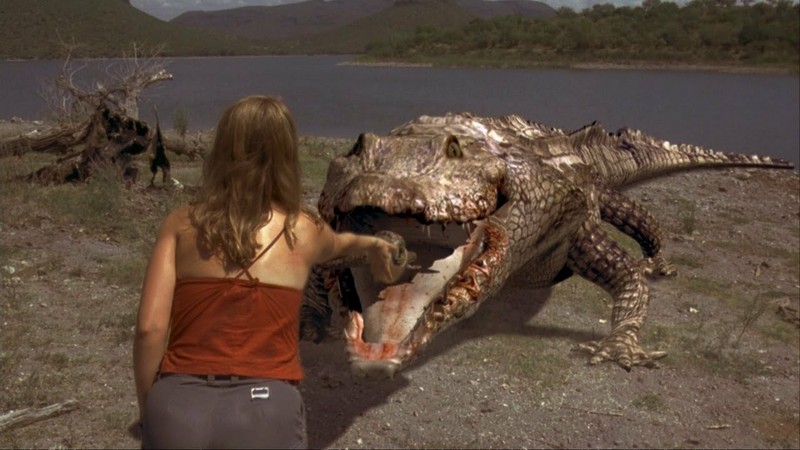 Crocodile