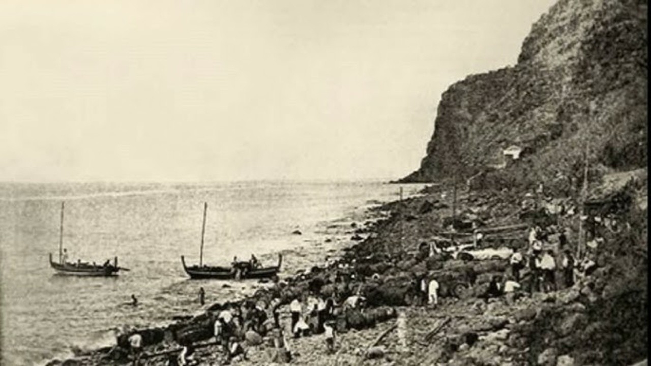 Madeira: A Garden in the Sea