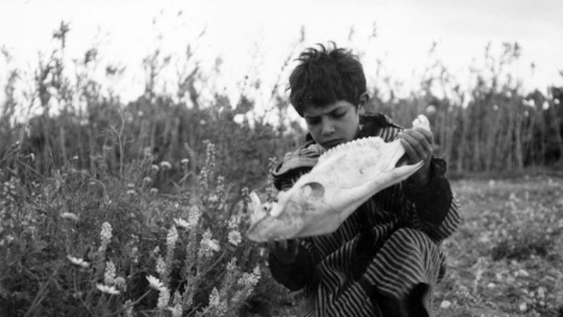 Hamida Raeiq Hamida (1966) | MUBI