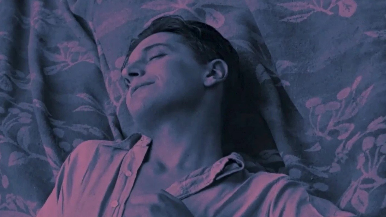 Image du film L'appel du sang