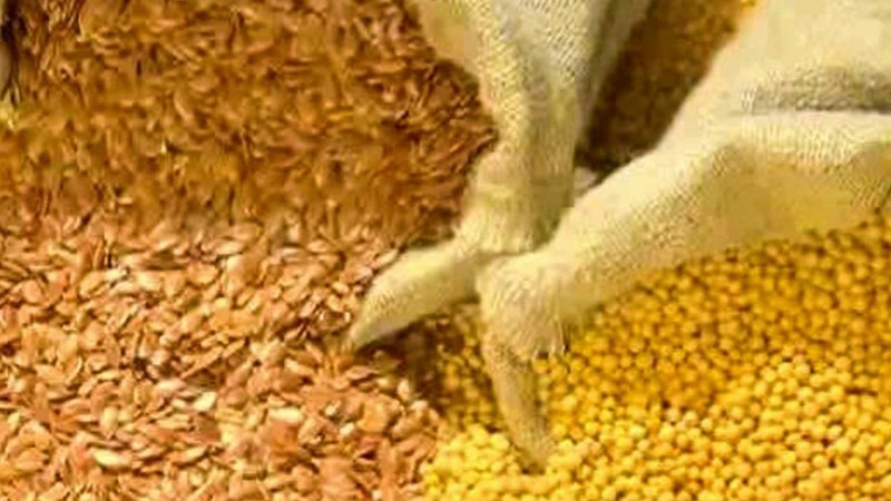 Seeds Of Death Unveiling The Lies Of Gmos Full Movie Seeds of Death: Unveiling the Lies of GMOs (2012) | MUBI