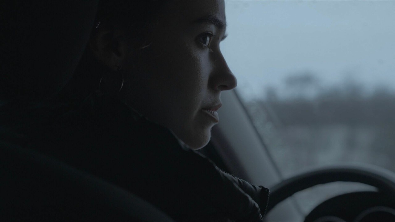 Driving Lessons