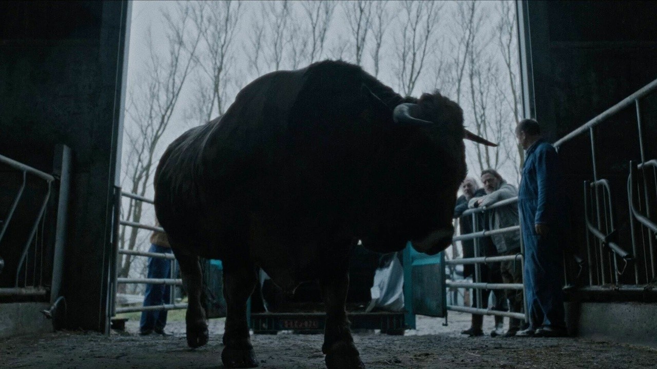 The Bull