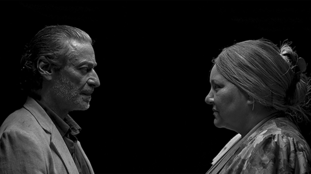 The Art of Dying or Marta Diptera Brachyera