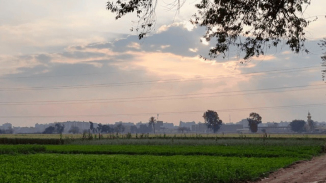 My Grandmother's Secret