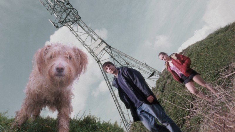 Dog