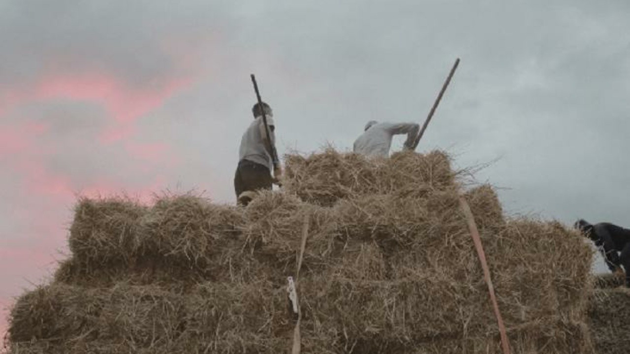A Crypto Rush Aftermath